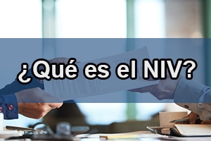 que es niv