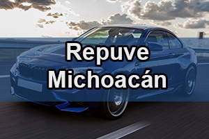 repuve Michoacán
