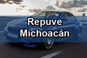 repuve Michoacán