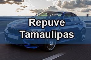 repuve Tamaulipas