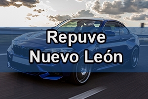 repuve nuevo león