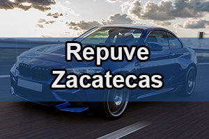 repuve zacatecas