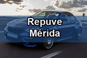 Repuve Mérida